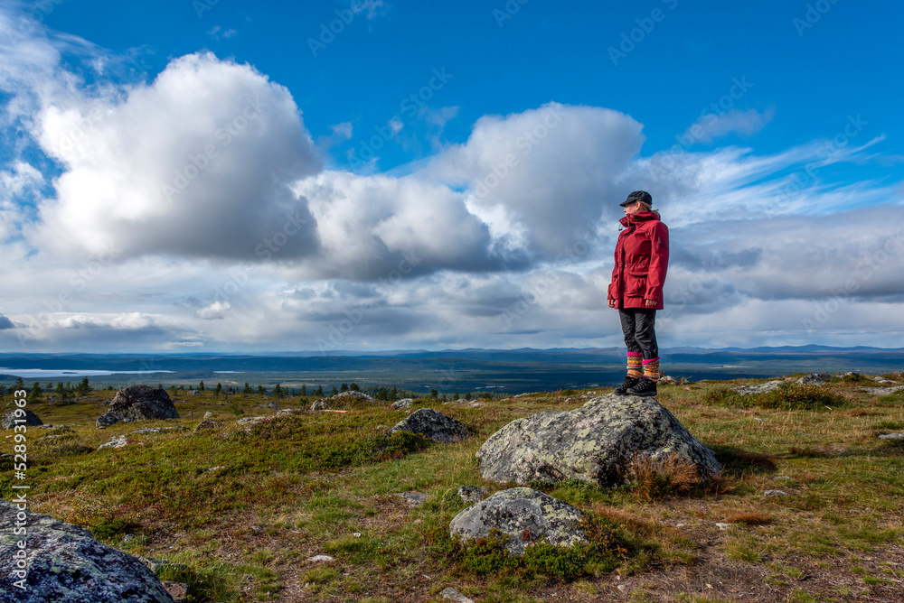 Woman hiking in Lapland Finland Woman hiking in Lapland Finland