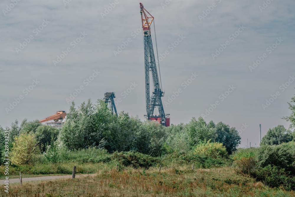 Nature and Crane. Rotterdam. The Netherlands. September 2022. Nature and Crane. Rotterdam. The Netherlands. September 2022.