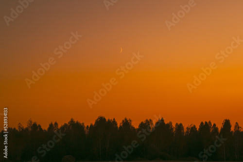 Sunset And Moon Rising Above Forest. Dramatic Sunset Background. Crescent Above Trees. Night Coming. Bright Orange Colors.