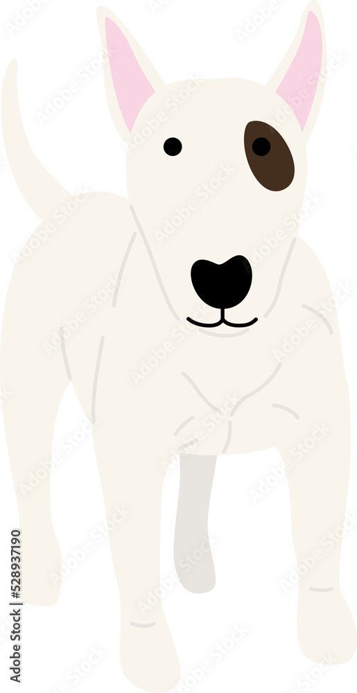 bull terrier bull terrier