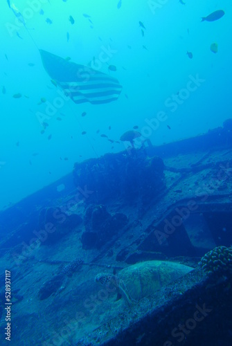 The Seatiger shipwreck when SCUBA diving off of Oahu. Wreck diving adventures with Oahu Diving  your wreck dive specialist.