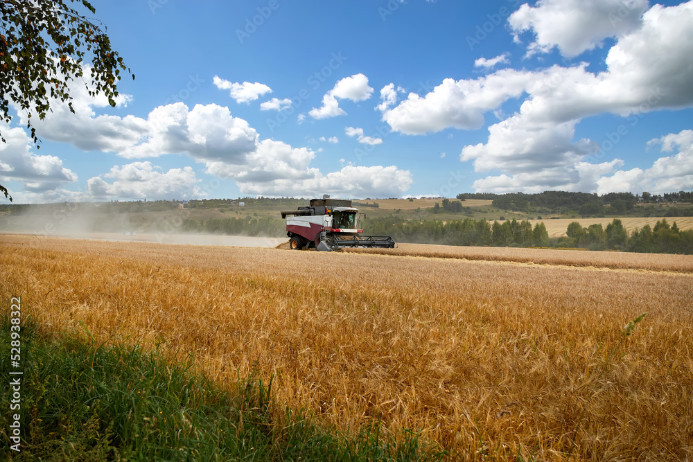 Working harvesting combine in the field of wheat. Harvest in the sunny day. Working harvesting combine in the field of wheat. Harvest in the sunny day.