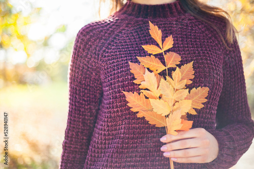 Woman in burgundy sweater holding autumn leaves in her hand. Autumn concept photo. 