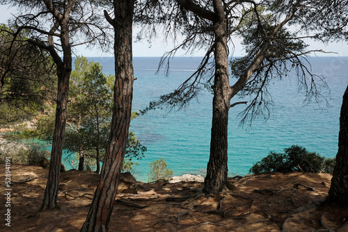 Beautiful landscape along the Costa Brava coastline near Lloret de Mar, Spain