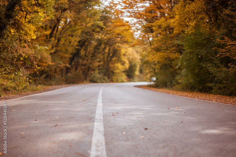 Scenic asphalt road close up photo. Autumn nature backgrounds