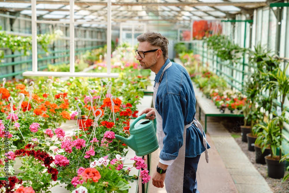 White man wearing apron watering plants while working in greenhouse