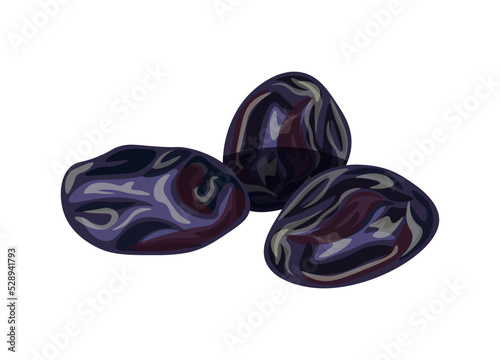 Dried prunes isolated on a white background. Vector illustration of tasty fruit in cartoon style. Dried prunes icon. Design element, logo. Flat style