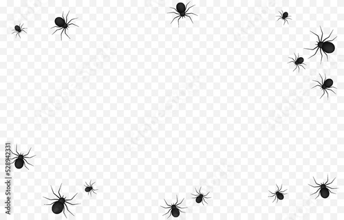 Vector spiders on an isolated transparent background. Background with spiders for design. Spiders PNG. Halloween spiders PNG. Background for Halloween.