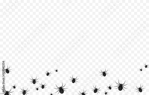 Vector spiders on an isolated transparent background. Background with spiders for design. Spiders PNG. Halloween spiders PNG. Background for Halloween.