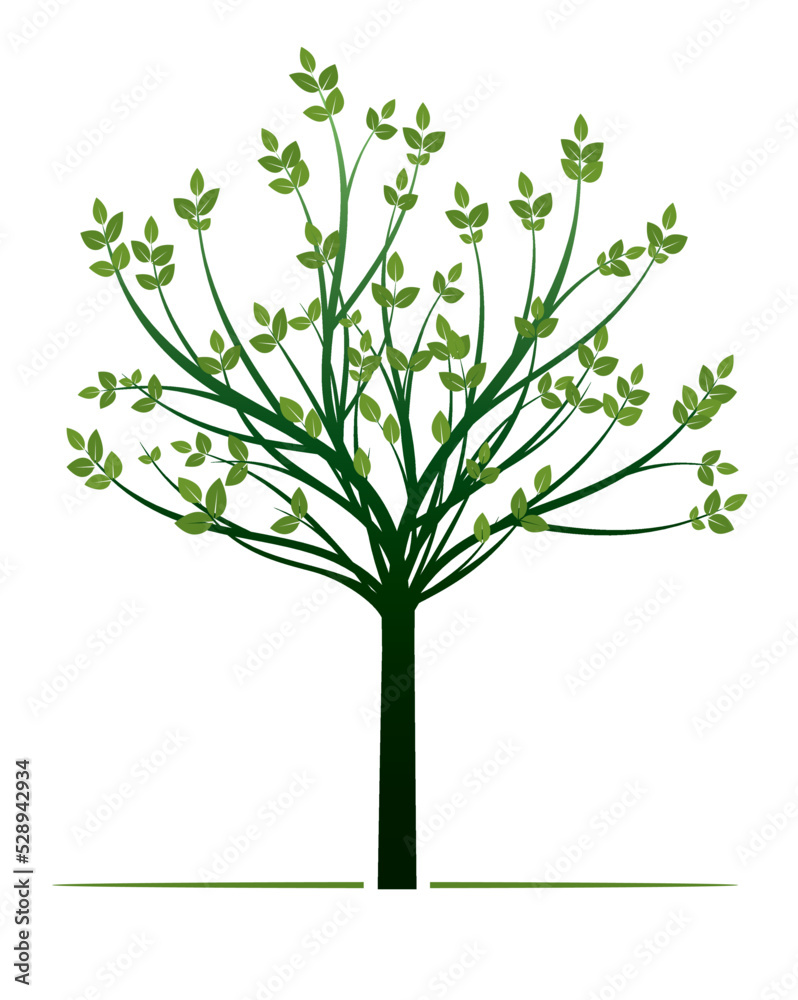 Young green Tree with Leaf. Vector outline Illustration. Young green Tree with Leaf. Vector outline Illustration.