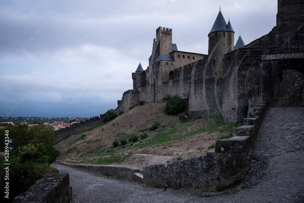 the city of Carcassonne, France