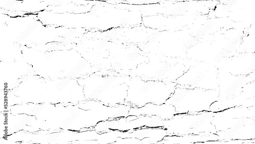 Black white texture of rugged relief fractured bark wood of aged cork oak. Old rough grunge of uneven ridged hard dry crust surface. Deep cut grooved coated layer, convex ornate textured rustic design Black white texture of rugged relief fractured bark wood of aged cork oak. Old rough grunge of uneven ridged hard dry crust surface. Deep cut grooved coated layer, convex ornate textured rustic design