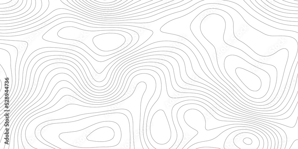 Abstract topographic contours map background .Topographic background and texture, monochrome image.  Topography and geography map grid abstract backdrop. Business concept.  Topography map concept. 