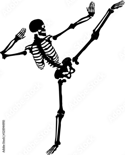 Kung-fu skeleton.