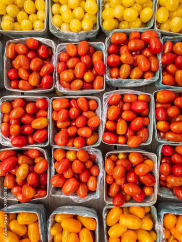 boxes of colorful ripe tomatoes in a market