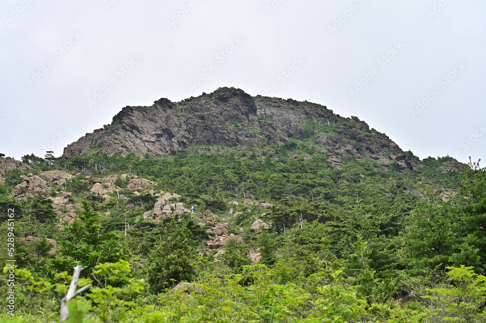 四国愛媛県新居浜市にある赤石山系の雄「東赤石山」は花の百名山でもある