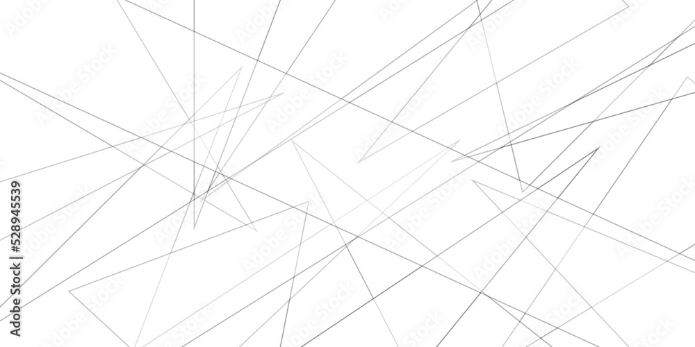 Abstract lines in black and white tone of many squares and rectangle shapes on white background. Metal grid isolated on the white background. nervures de feuilles mortes, fond rectangle and geometric Abstract lines in black and white tone of many squares and rectangle shapes on white background. Metal grid isolated on the white background. nervures de feuilles mortes, fond rectangle and geometric