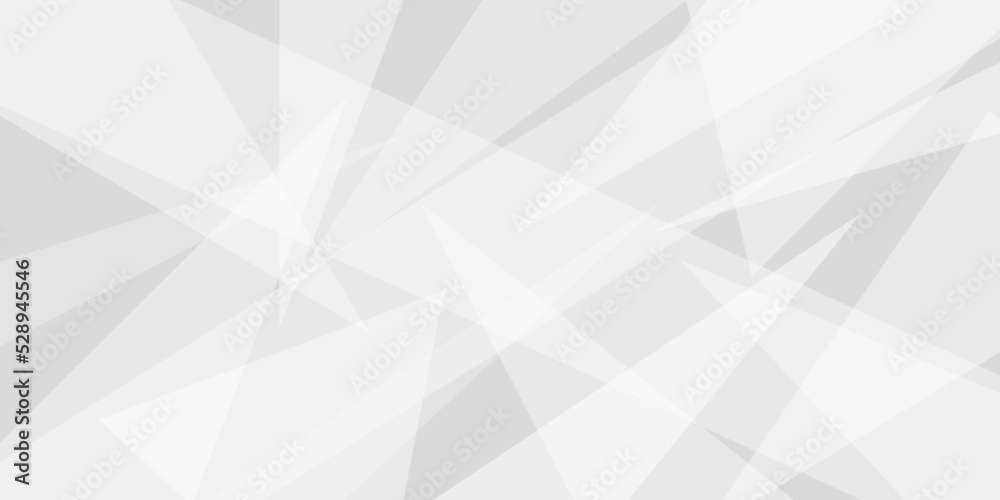 Abstract background with gray background with texture, white abstract modern background. Geometry shine and layer element vector for presentation design. Decorative web layout or poster, banner.design