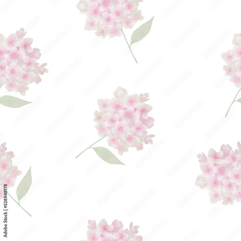  hydrangea illustration pattern vector floral flowers