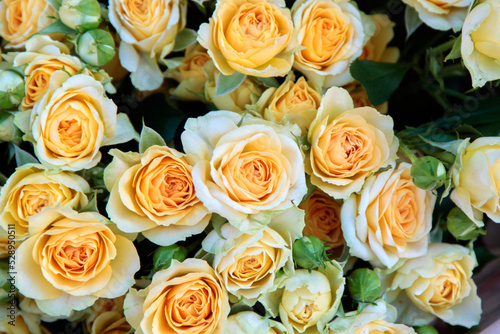 A bouquet of beautiful pale yellow roses. Selective focus