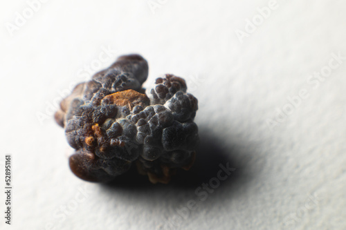 Macro extreme nephrolithiasis - close-up of a kidney stone renal calculus or nephrolitis on a white background. photo