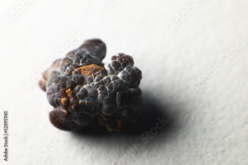 Photos Macro extreme nephrolithiasis - close-up of a kidney stone renal calculus or nephrolitis on a white background
