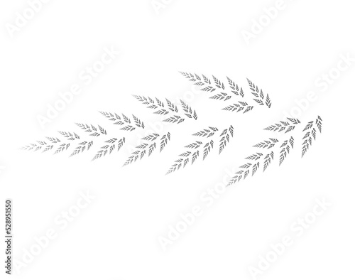 Fractal in the form of a branch with leaves