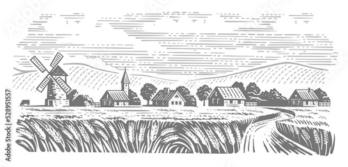 Rural landscape field wheat vector. Retro village and hill