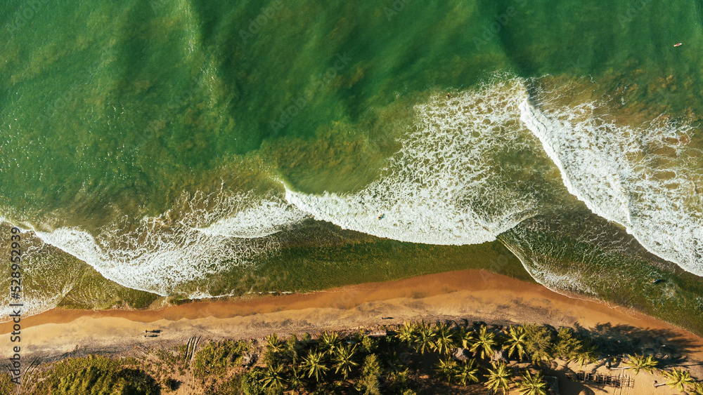 Beautiful tropical beach and ocean with palm trees and sand, waves crashing against the coast.