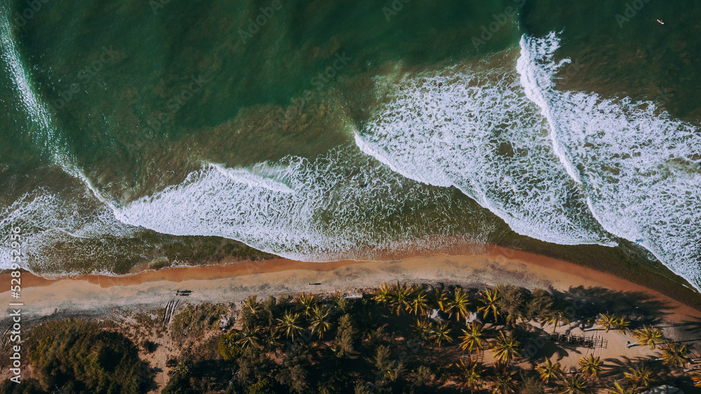 Beautiful tropical beach and ocean with palm trees and sand, waves crashing against the coast.