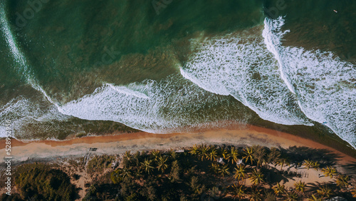 Beautiful tropical beach and ocean with palm trees and sand, waves crashing against the coast.