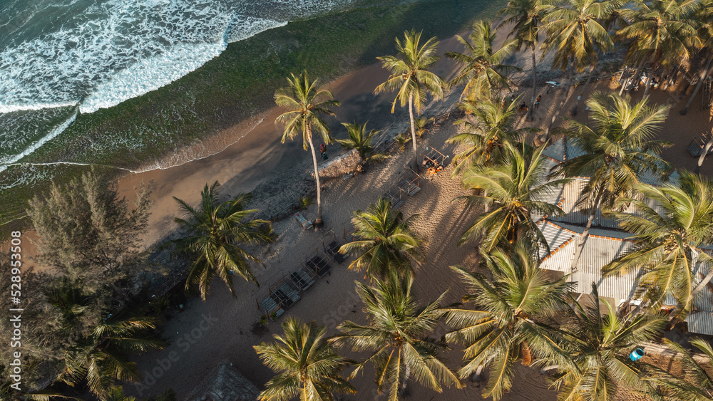 Beautiful tropical beach and ocean with palm trees and sand, waves crashing against the coast.