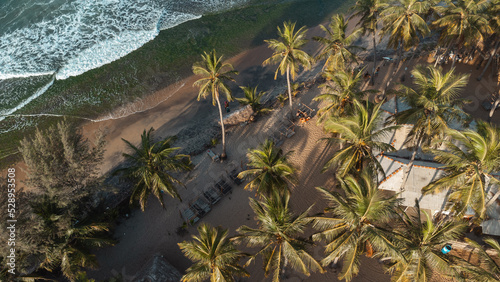Obraz na płótnie Beautiful tropical beach and ocean with palm trees and sand, waves crashing against the coast. w salonie