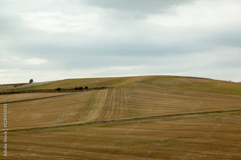 Fototapeta premium Paisaje de tierras de cultivo en Vitoria, España