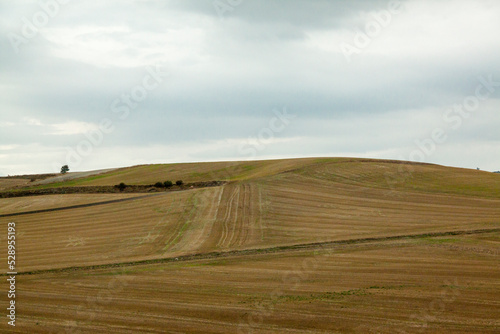 Paisaje de tierras de cultivo en Vitoria, España