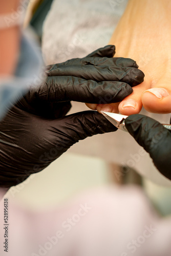 Professional pedicure. Pedicure master wearing latex gloves cuts female toenails in the beauty salon  closeup