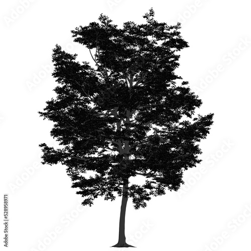 Sagoma Albero 04