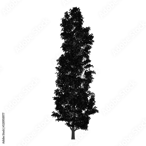 Sagoma Albero 03