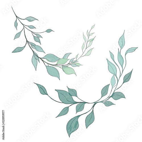 Hand drawn floral frames with flowers, branch and leaves. Elegant logo templa...