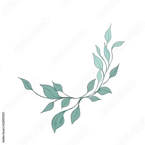 Hand drawn floral frames with flowers, branch and leaves. Elegant logo templa...