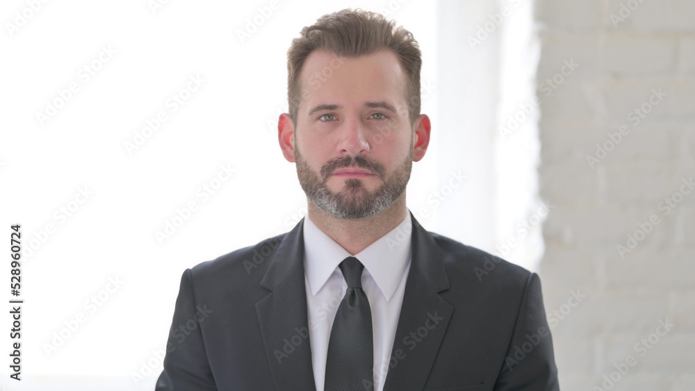 Serious Middle Aged Businessman Looking at the Camera Serious Middle Aged Businessman Looking at the Camera