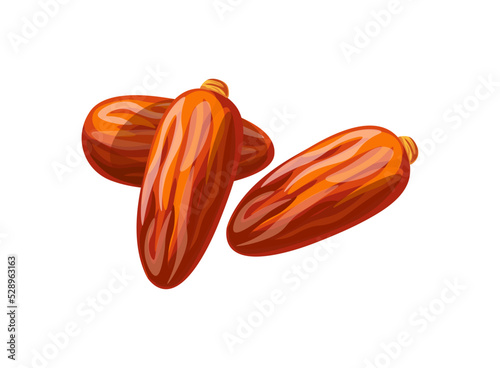 
Dates dried fruit isolated on a white background. Vector illustration of dates in flat style. Date sweet dessert icon. Healthy snacks. Vegetarian food