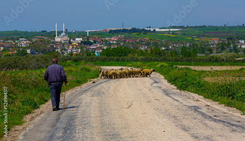 Van muradiye village and road photo