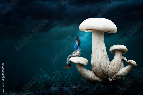 mushrooms on a branch