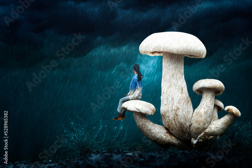 mushrooms on a tree
