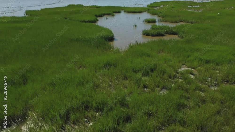 Aerial drone video, filming at very low altitude above tall grass revealing the landscape of La Pocatiere, Quebec Aerial drone video, filming at very low altitude above tall grass revealing the landscape of La Pocatiere, Quebec