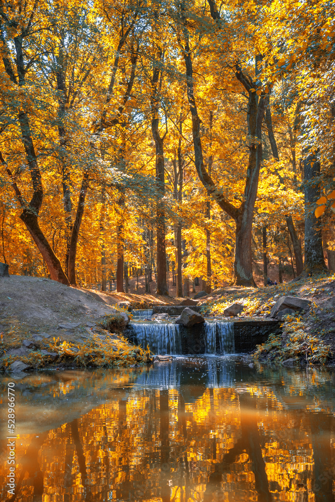 river in the autumn forest.