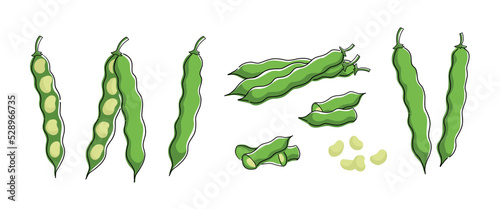 Green beans illustrations. Collection of clipart with haricot. photo