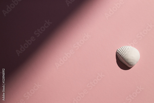 plaster figure of a shell on a pink background