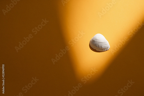 plaster figure of a shell on a gold background